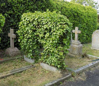 Fairlee Headstones covered in ivy