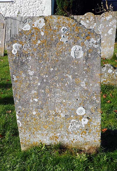 Eliza COXON