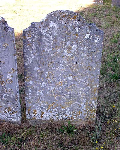 Frances SHERRING