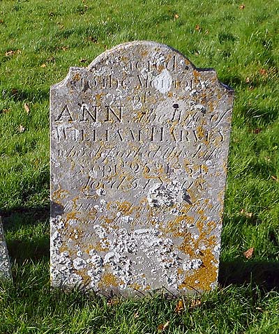 Ann HARVEY