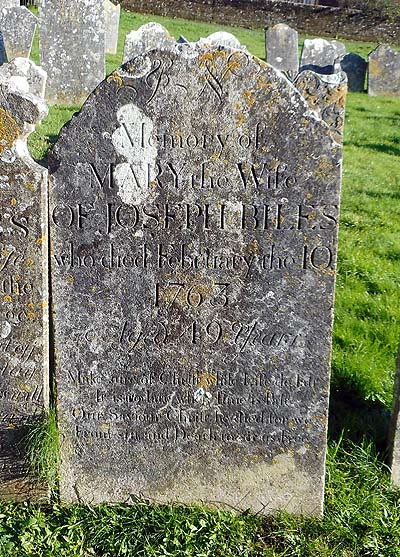 Mary BILES