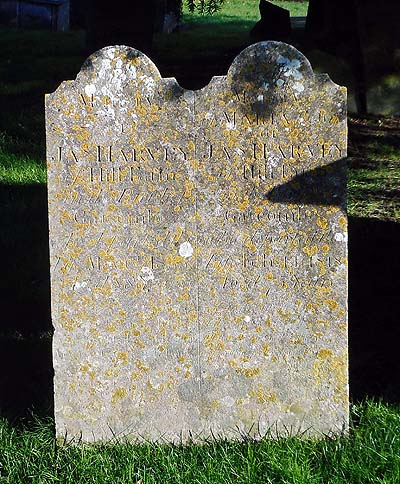 Maria HARVEY