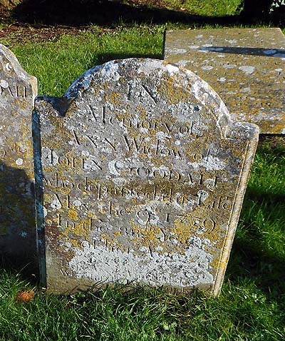 Ann GOODALL