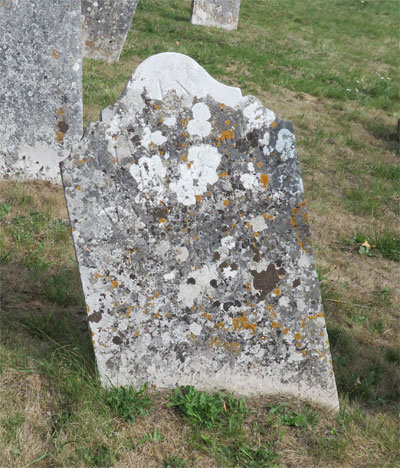 Jane BULL