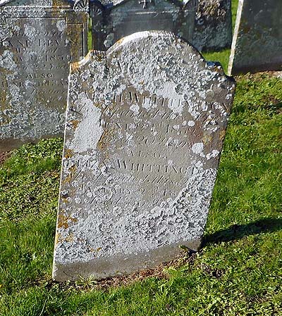 Sarah WHITTINGTON