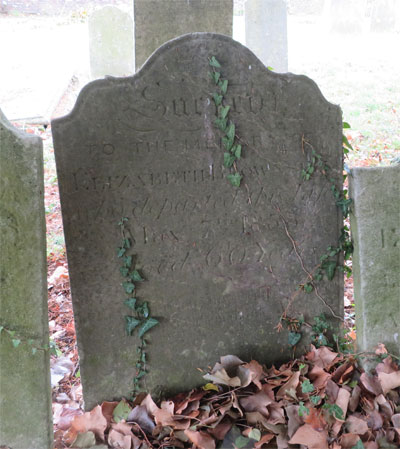 Elizabeth BROWNSELL