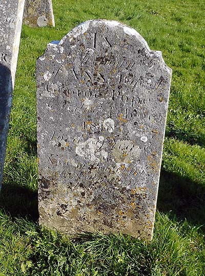 Ann POPE