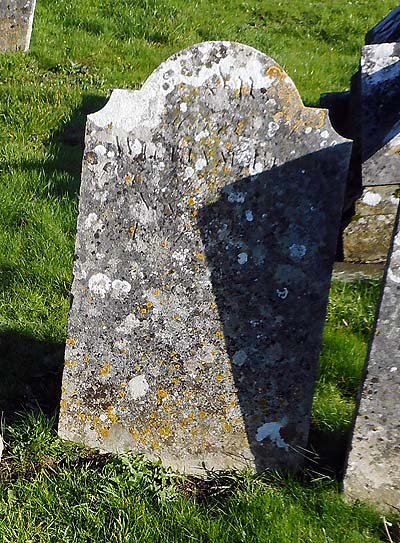 William BULL