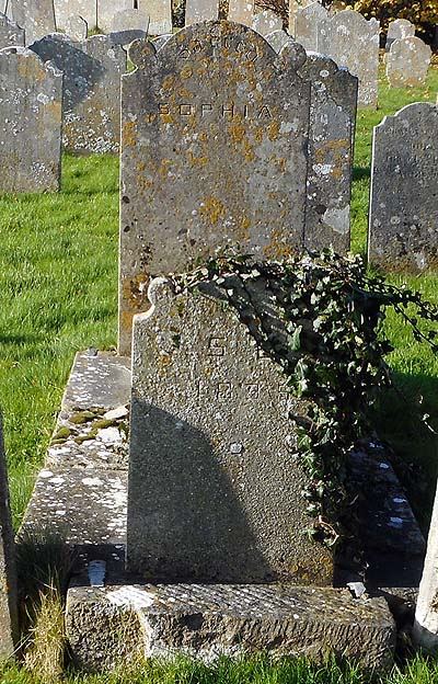 Sophia BOSTOCK