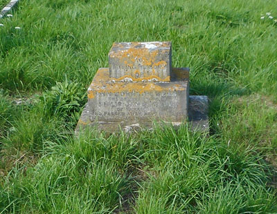 Ann Johnson WEBB