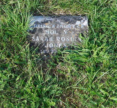 Sarah Rosina JONES