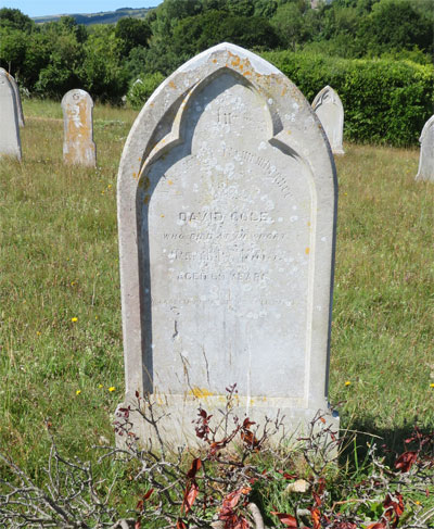 David COLE