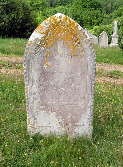 George HIBBARD