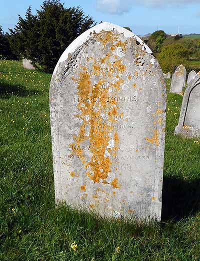 Francis MORRIS