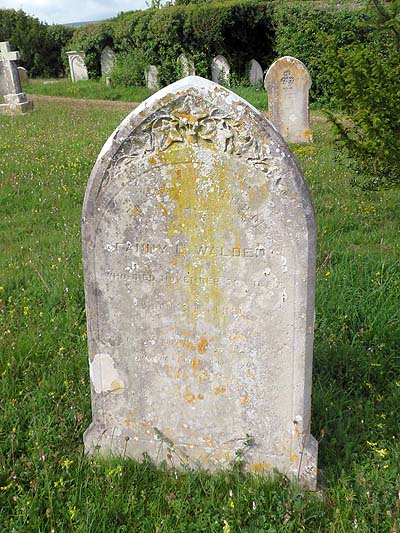 Fanny Louisa WALDEN