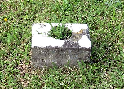 Frances Minnie COOKE