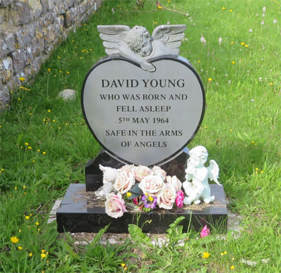 David YOUNG