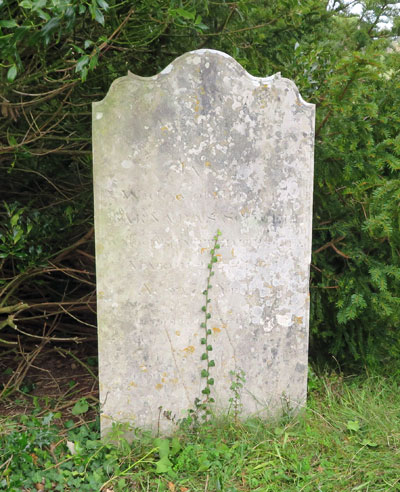 Jane SCOVELL