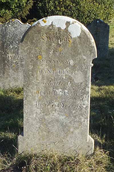 Jane LEGG