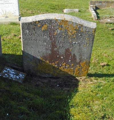 Amy Augusta COSSON