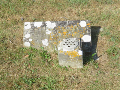 Gerald McANEY