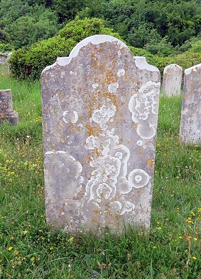 Maria SWATHERIDGE