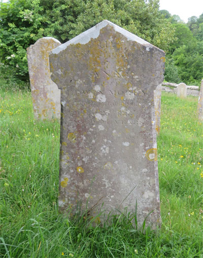Ann MOREY