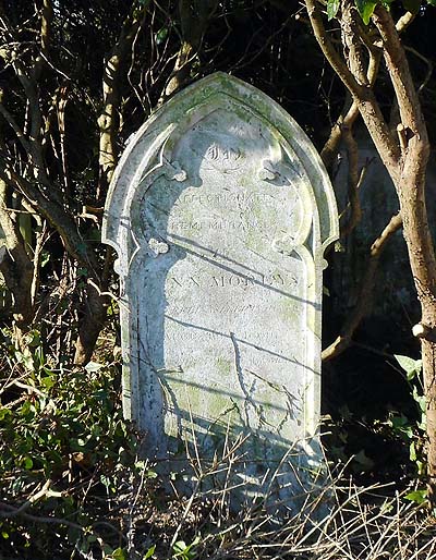 Ann MOREY