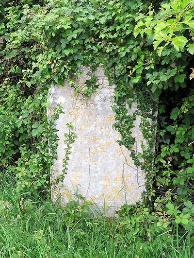 Ann CREWES