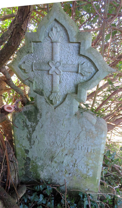 Fanny Adams BULL
