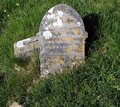 Lilian Caroline DAMP