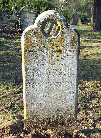 Mary Sarah Annie PLUCKNETT