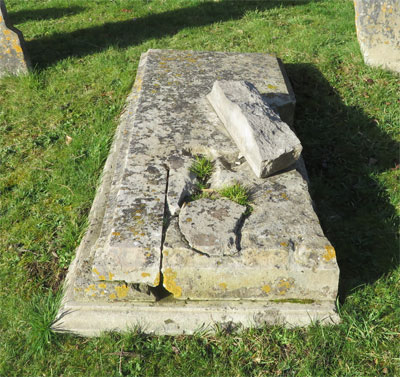 John Haynes MEW