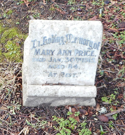 Mary Ann PRICE