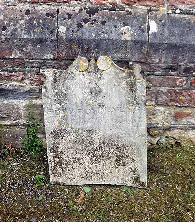 Jane HAYLES